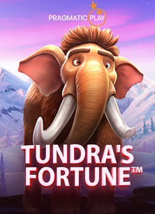 ประสบการณ์ใหม่กับ ดู บอล esportSLOT เกมสุดมันส์